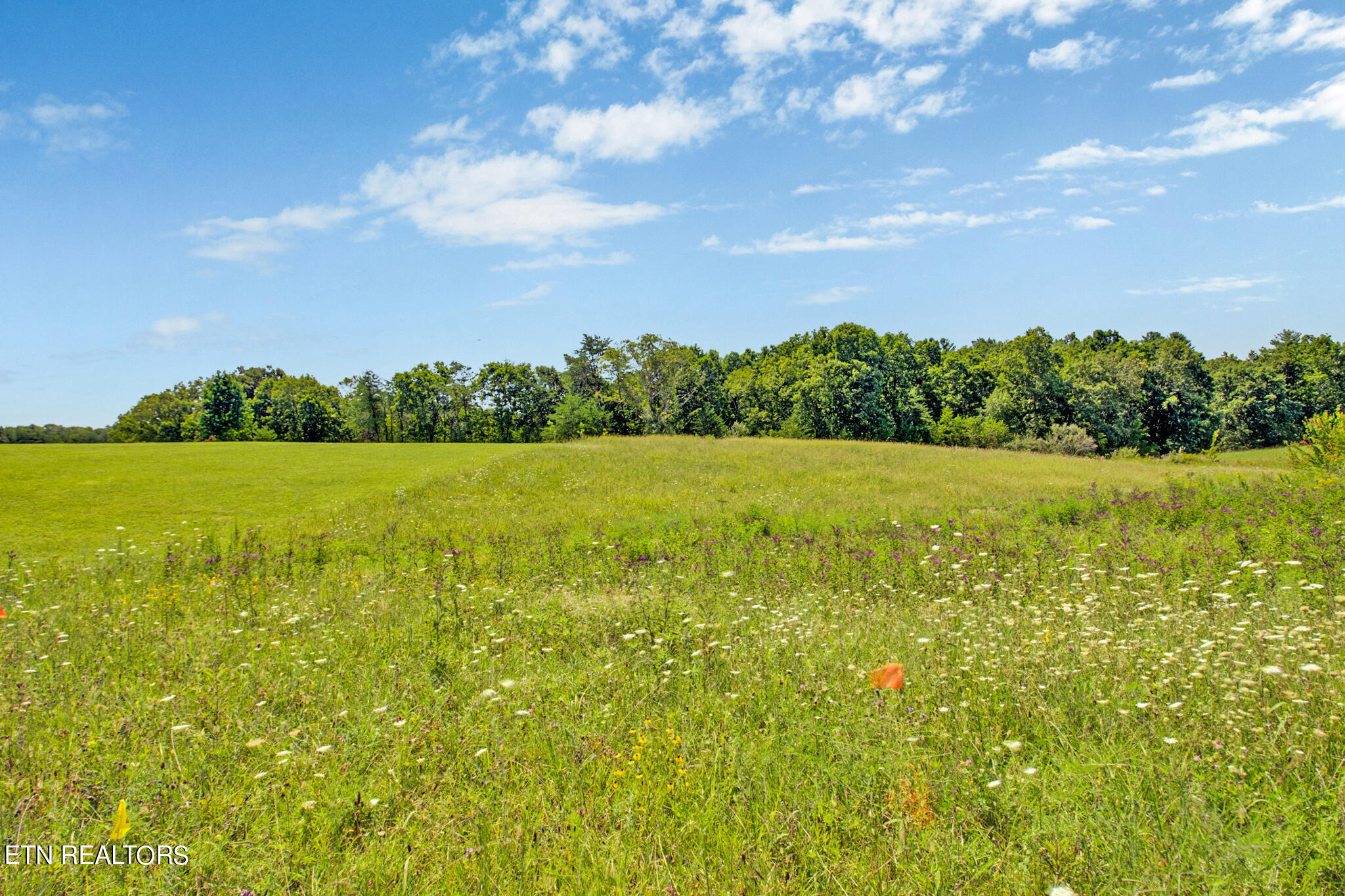 Lot 8 Estate Loop Trail Crossville TN 38555
