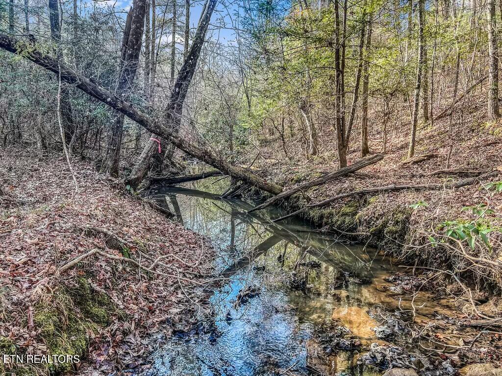 Nashville Avenue Deer Lodge TN 37726