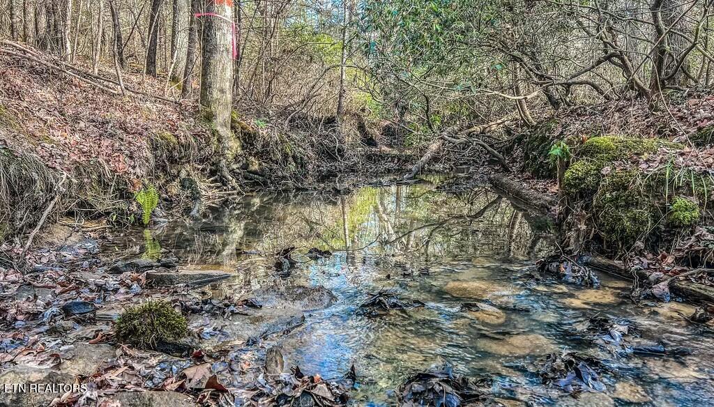 Nashville Avenue Deer Lodge TN 37726