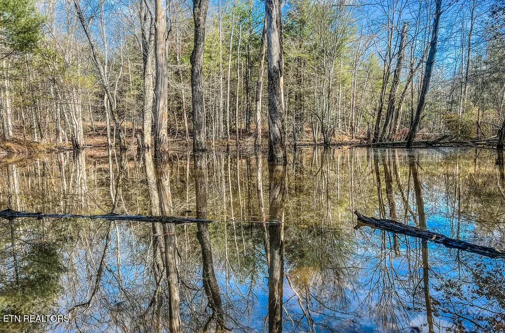 Nashville Avenue Deer Lodge TN 37726