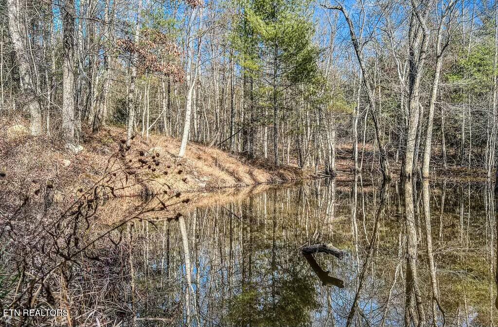 Nashville Avenue Deer Lodge TN 37726