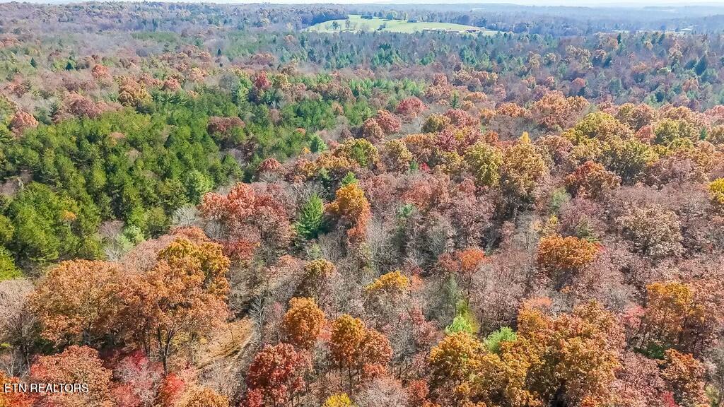 Nashville Avenue Deer Lodge TN 37726