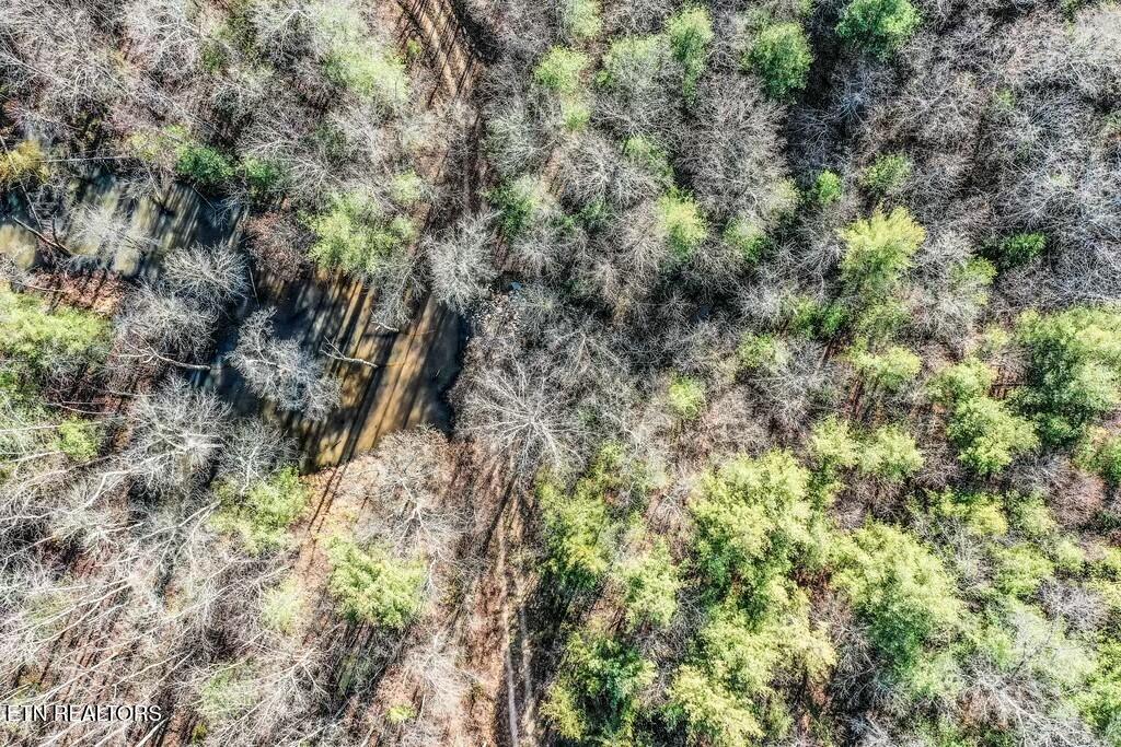 Nashville Avenue Deer Lodge TN 37726