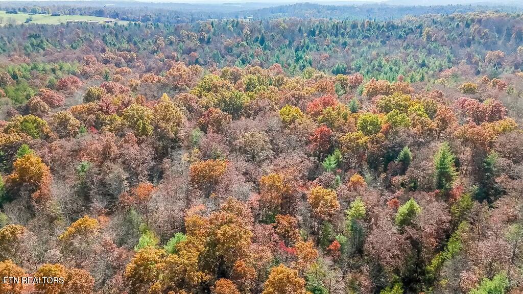 Nashville Avenue Deer Lodge TN 37726