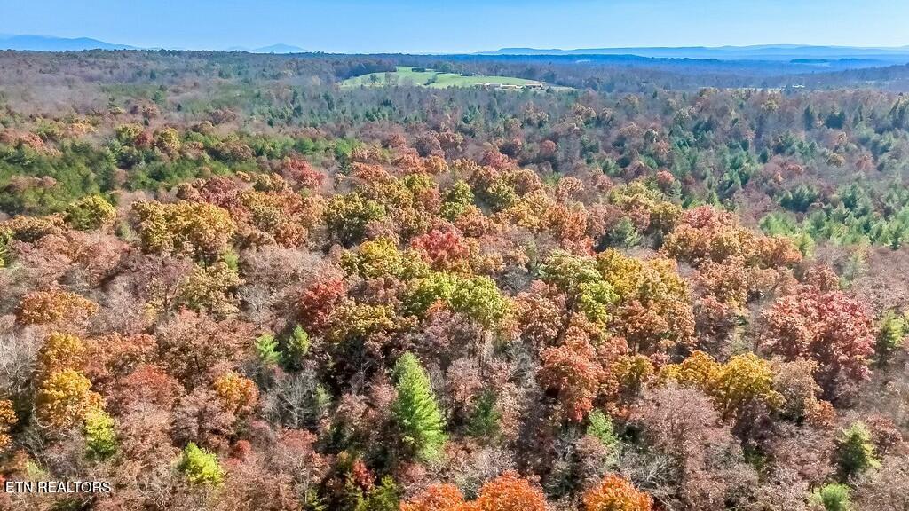 Nashville Avenue Deer Lodge TN 37726