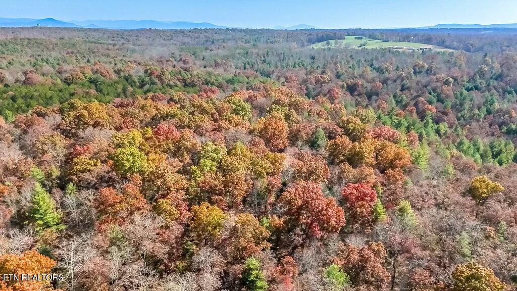 Nashville Avenue Deer Lodge TN 37726