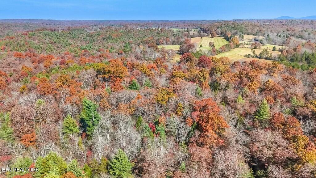 Nashville Avenue Deer Lodge TN 37726