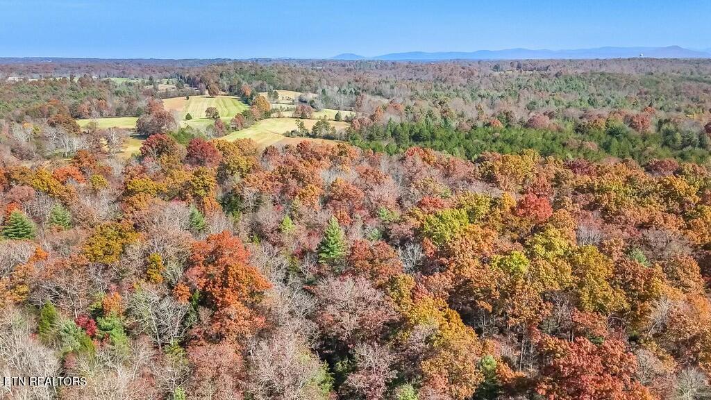 Nashville Avenue Deer Lodge TN 37726