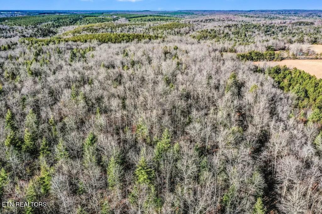 Nashville Avenue Deer Lodge TN 37726