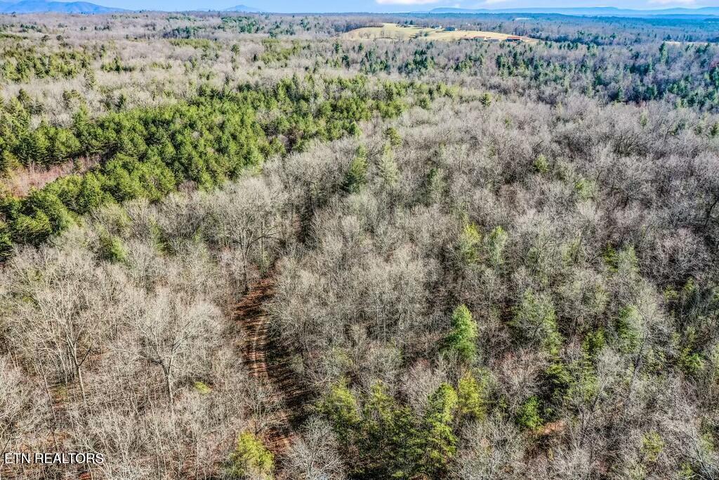 Nashville Avenue Deer Lodge TN 37726