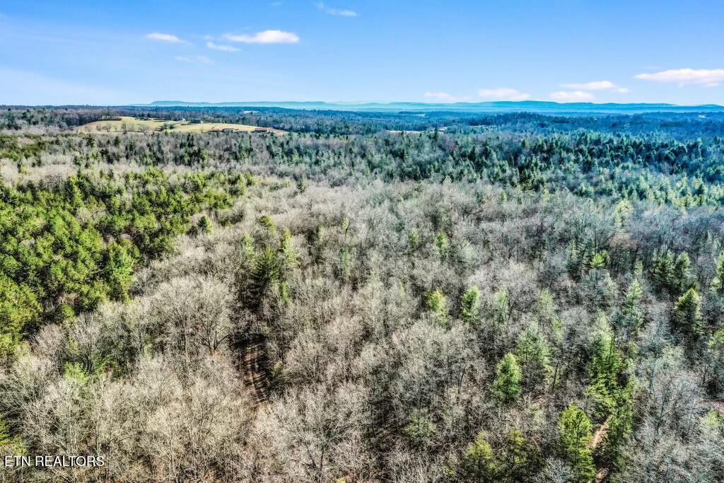 Nashville Avenue Deer Lodge TN 37726