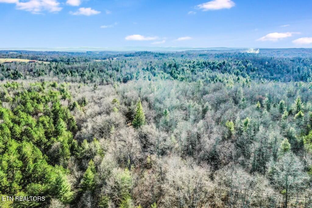 Nashville Avenue Deer Lodge TN 37726