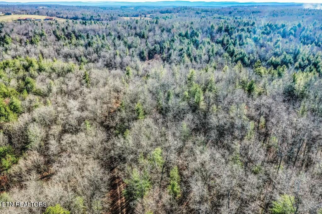 Nashville Avenue Deer Lodge TN 37726