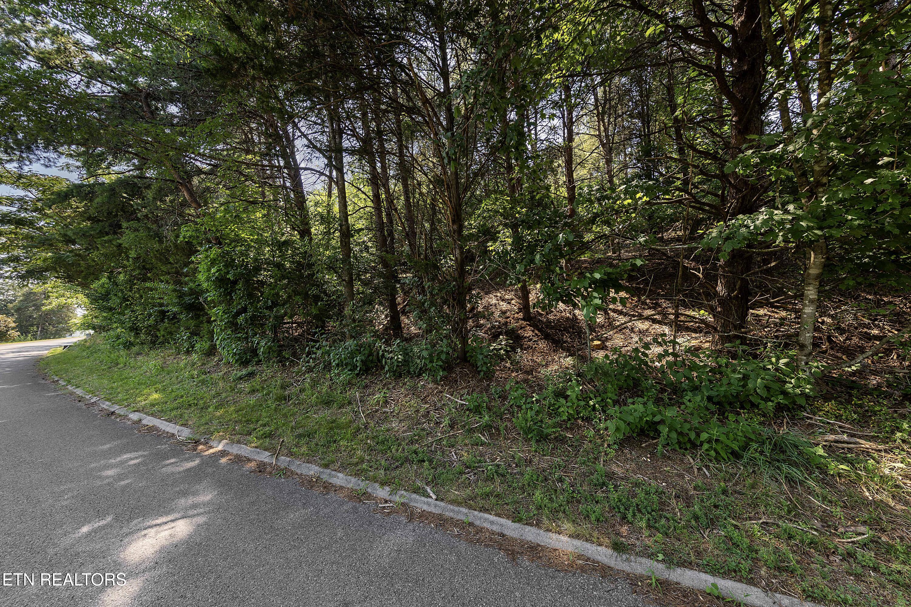 Lot 30 Harbour View Drive Lenoir City TN 37772