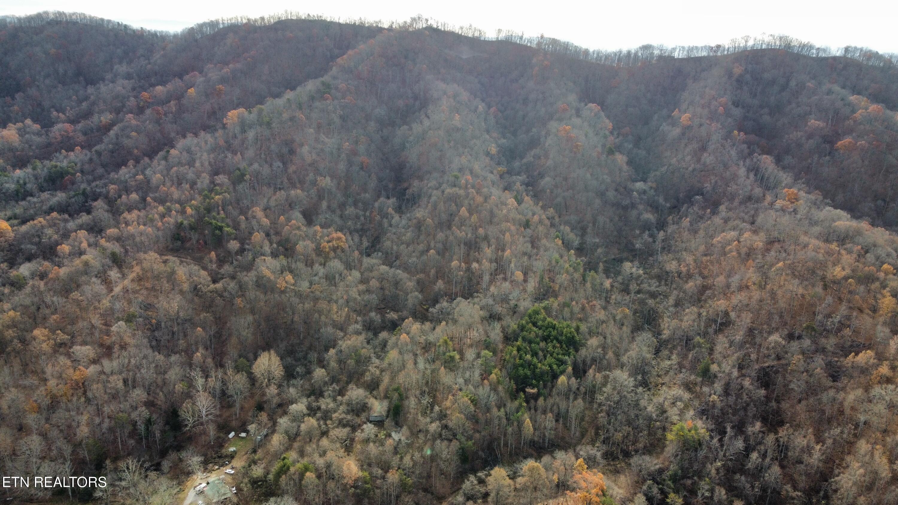 100 Acres Elum Coffey Road Thorn Hill TN 37881