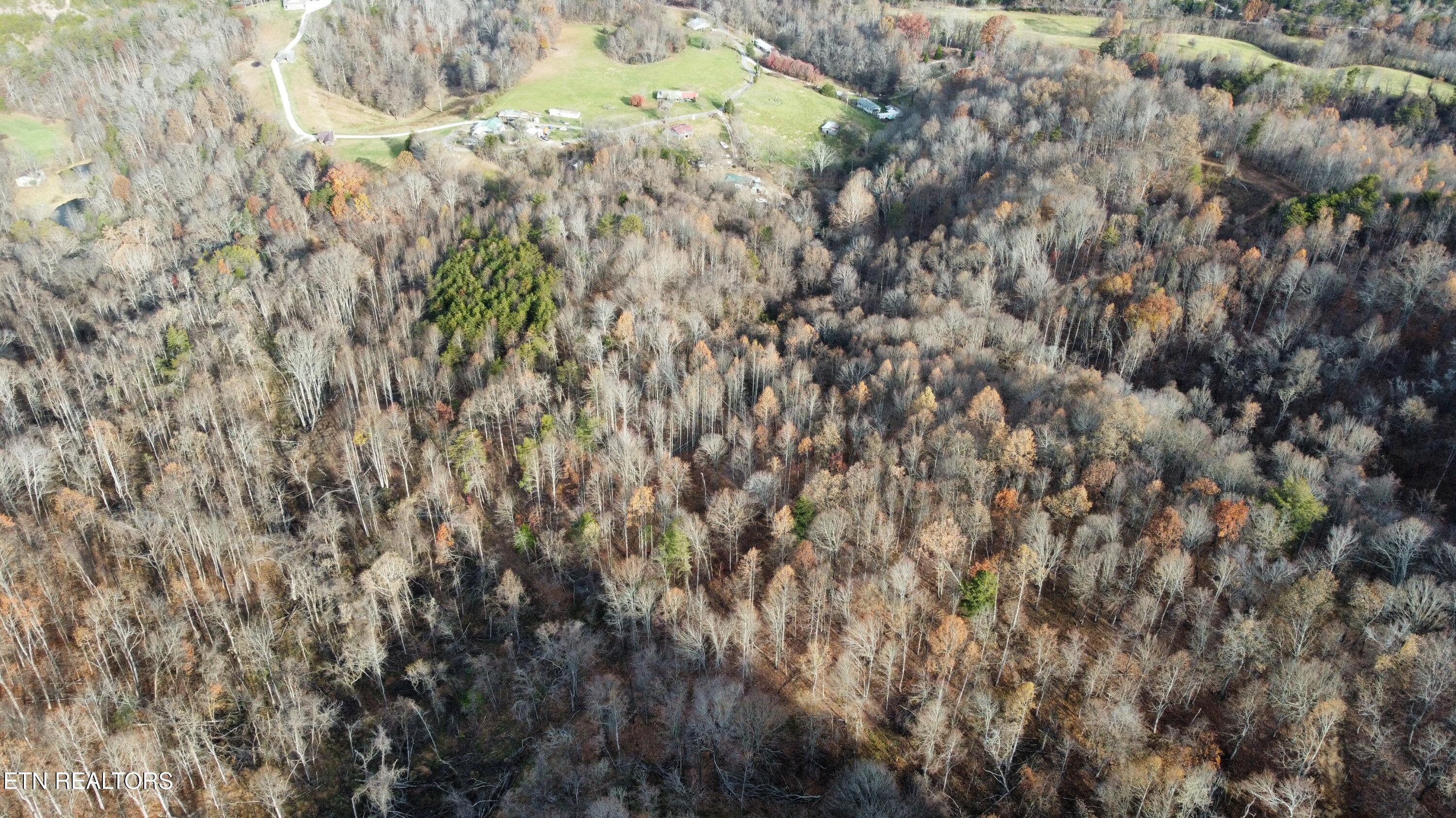100 Acres Elum Coffey Road Thorn Hill TN 37881