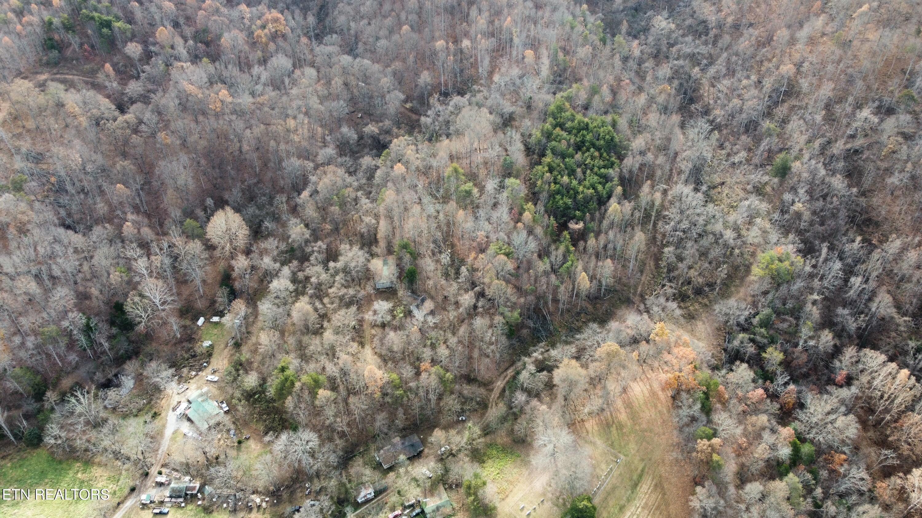 100 Acres Elum Coffey Road Thorn Hill TN 37881