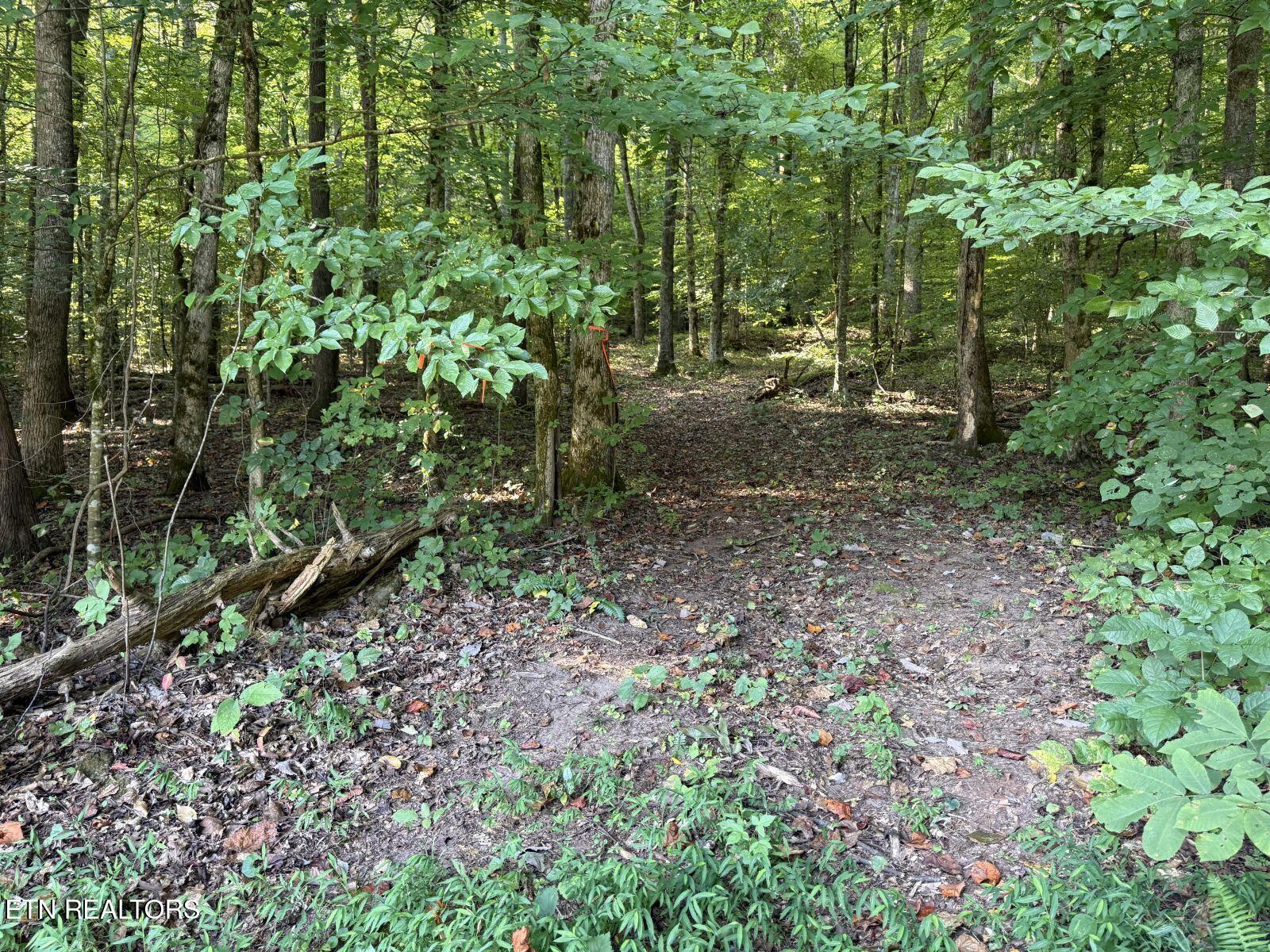 0 N Wooddale Road Knoxville TN 37924