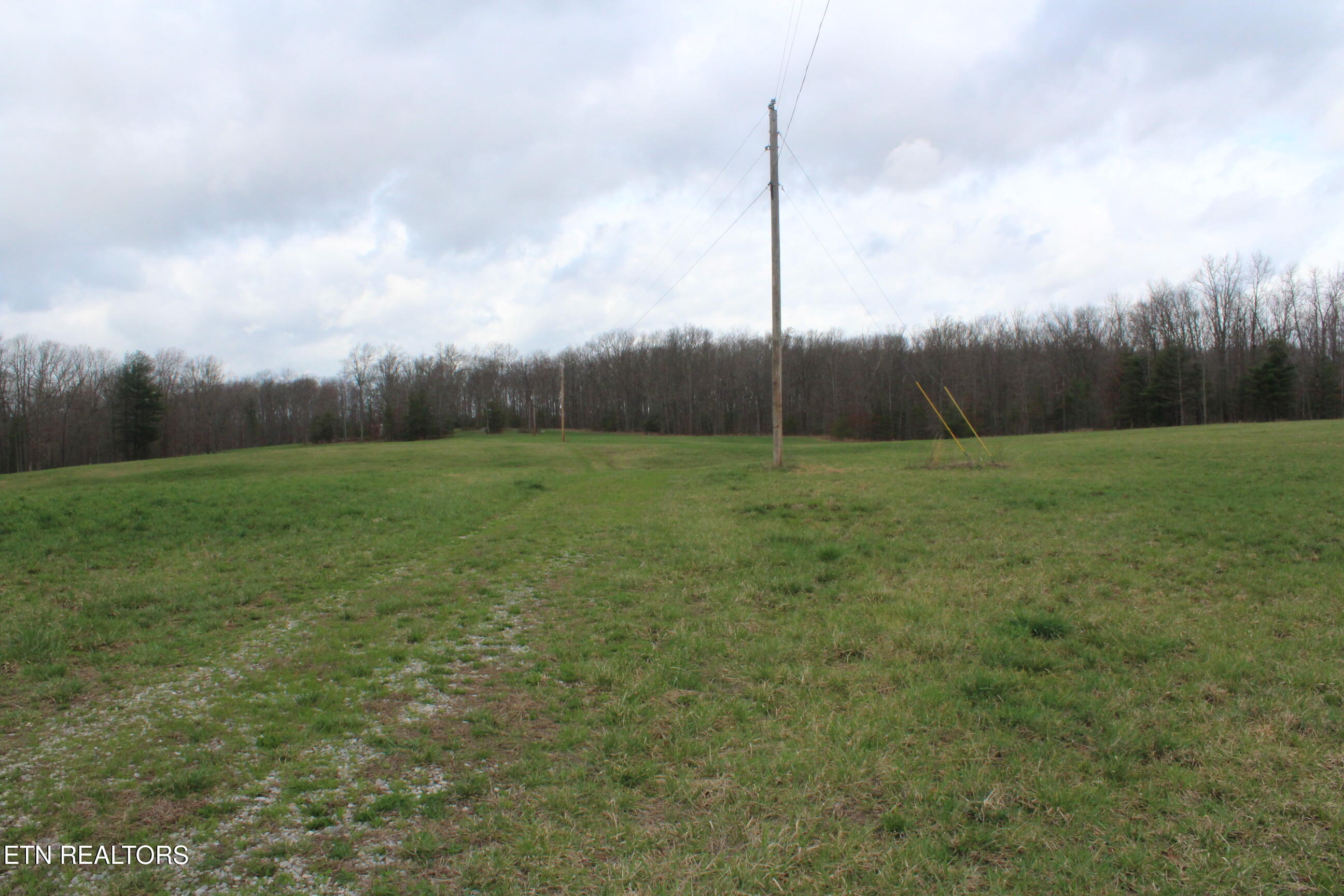 999 Meister Hills Road Deer Lodge TN 37726