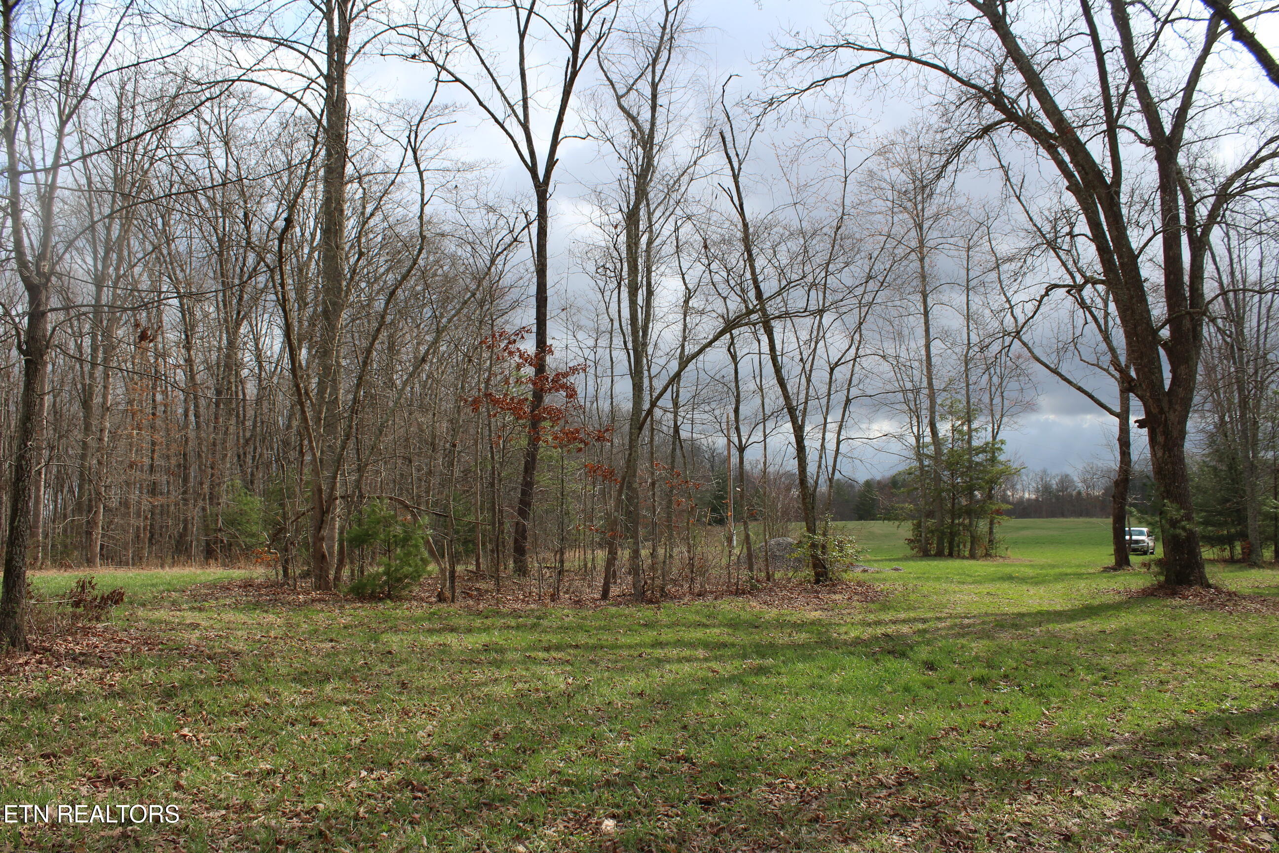 999 Meister Hills Road Deer Lodge TN 37726
