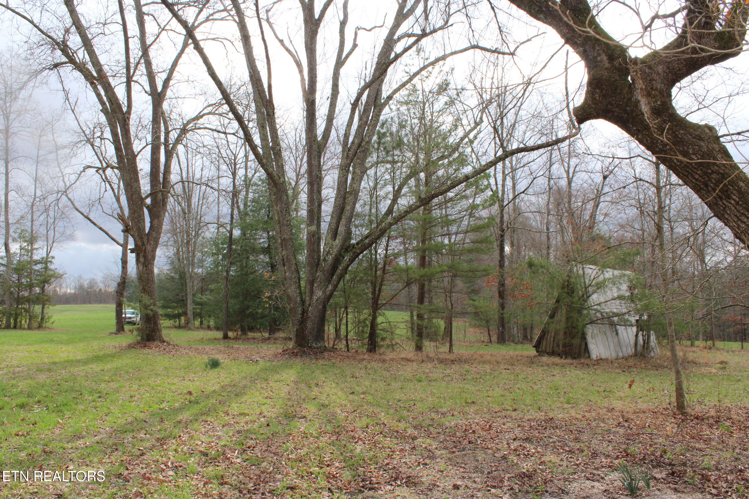 999 Meister Hills Road Deer Lodge TN 37726