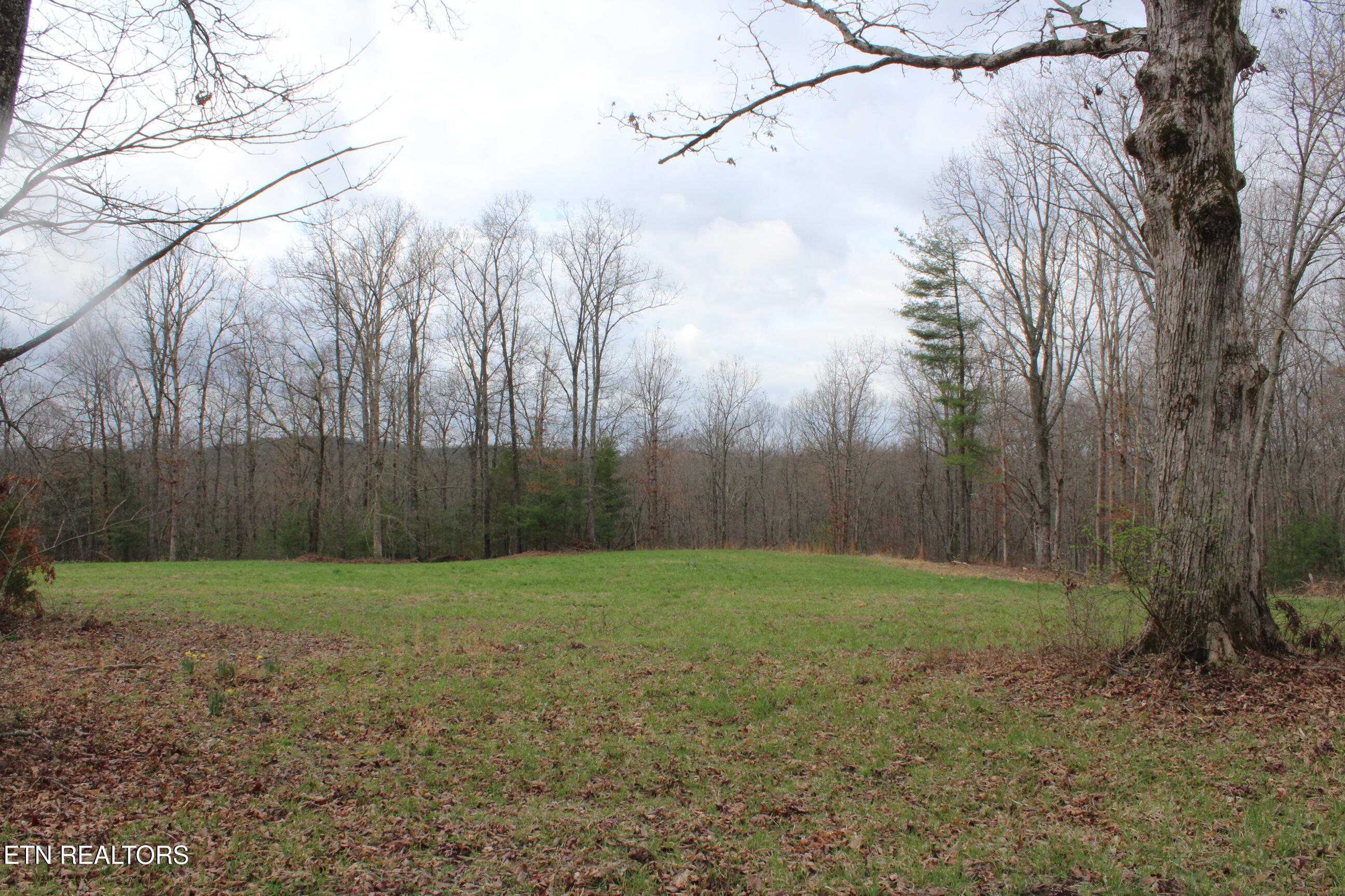 999 Meister Hills Road Deer Lodge TN 37726
