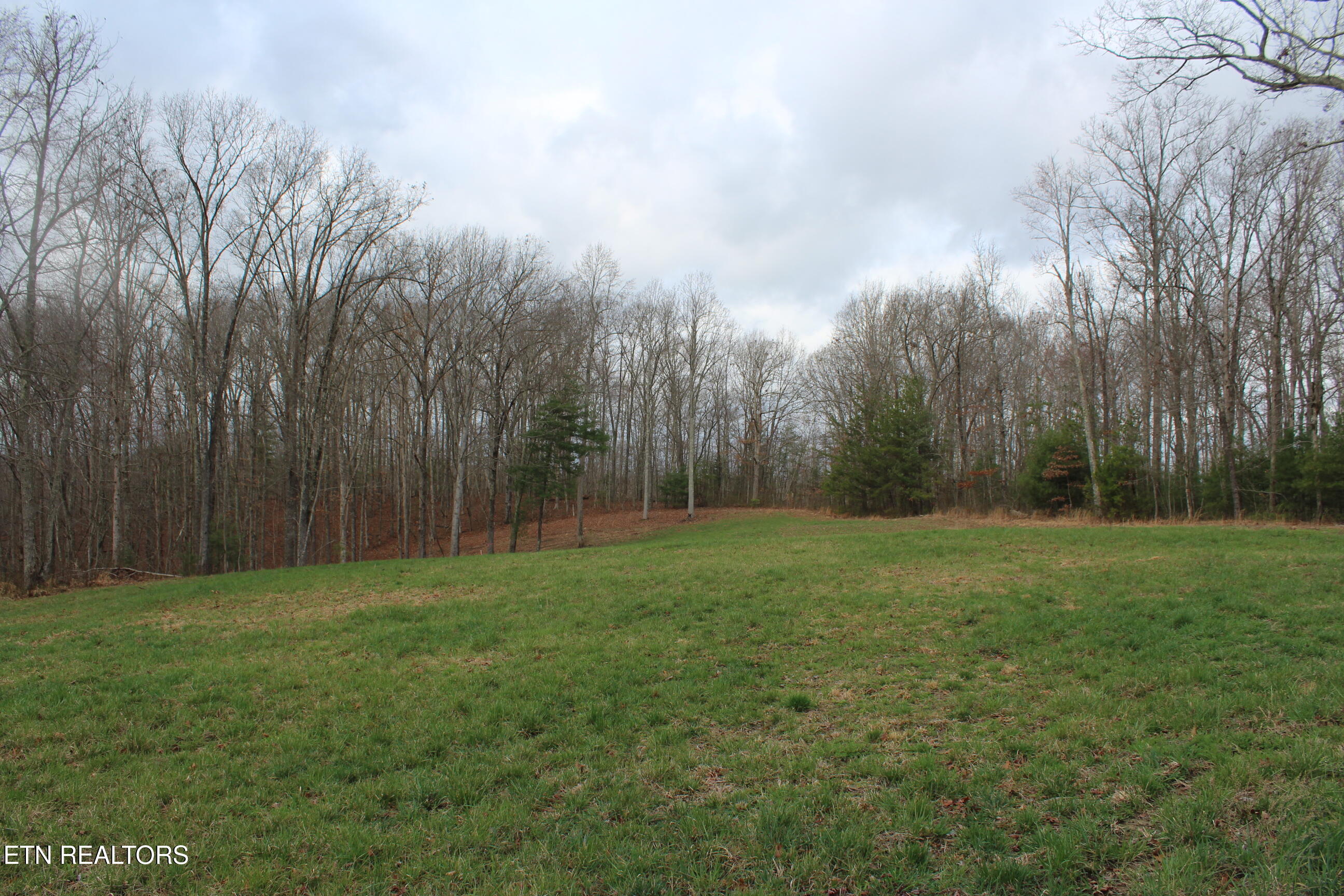 999 Meister Hills Road Deer Lodge TN 37726