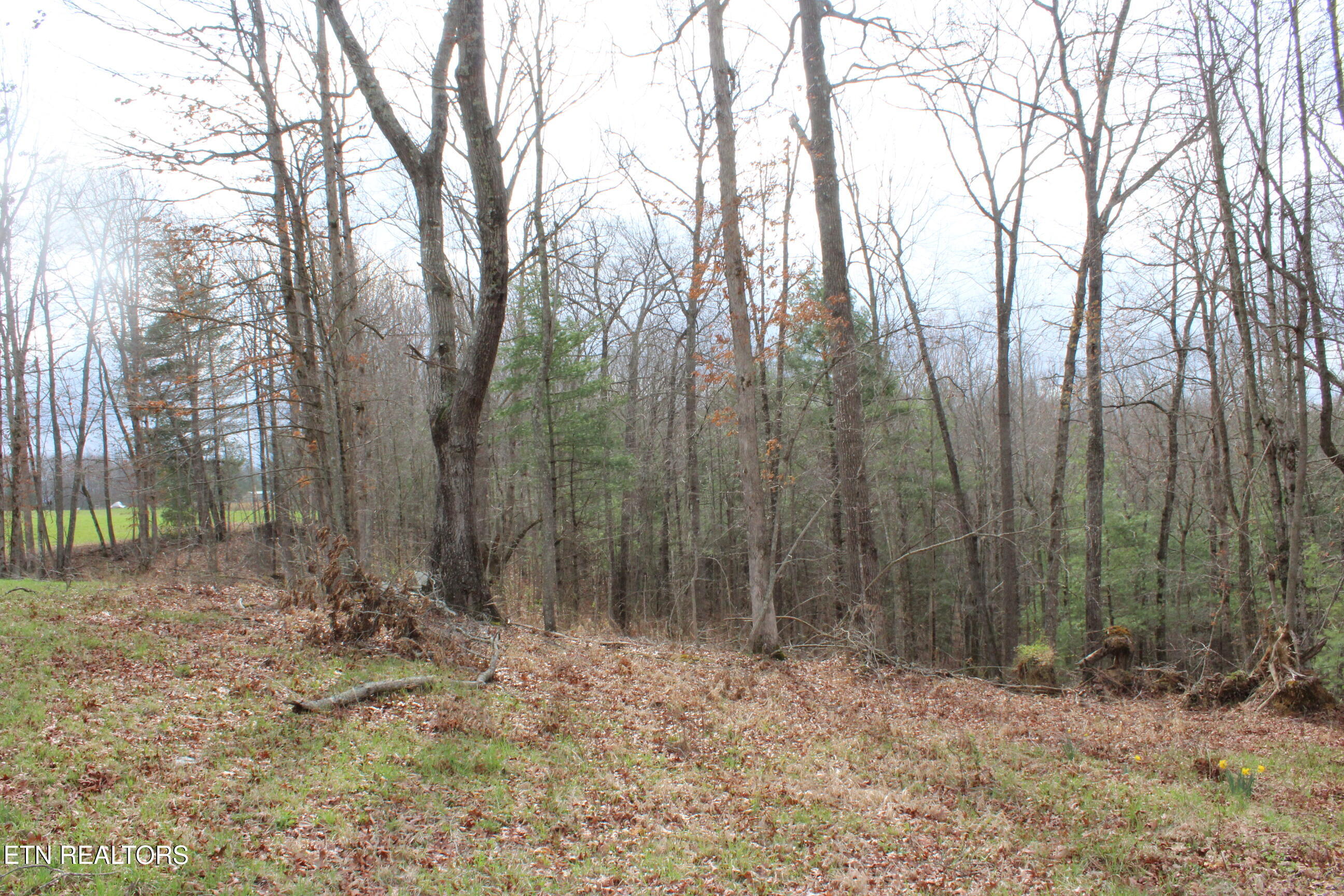 999 Meister Hills Road Deer Lodge TN 37726