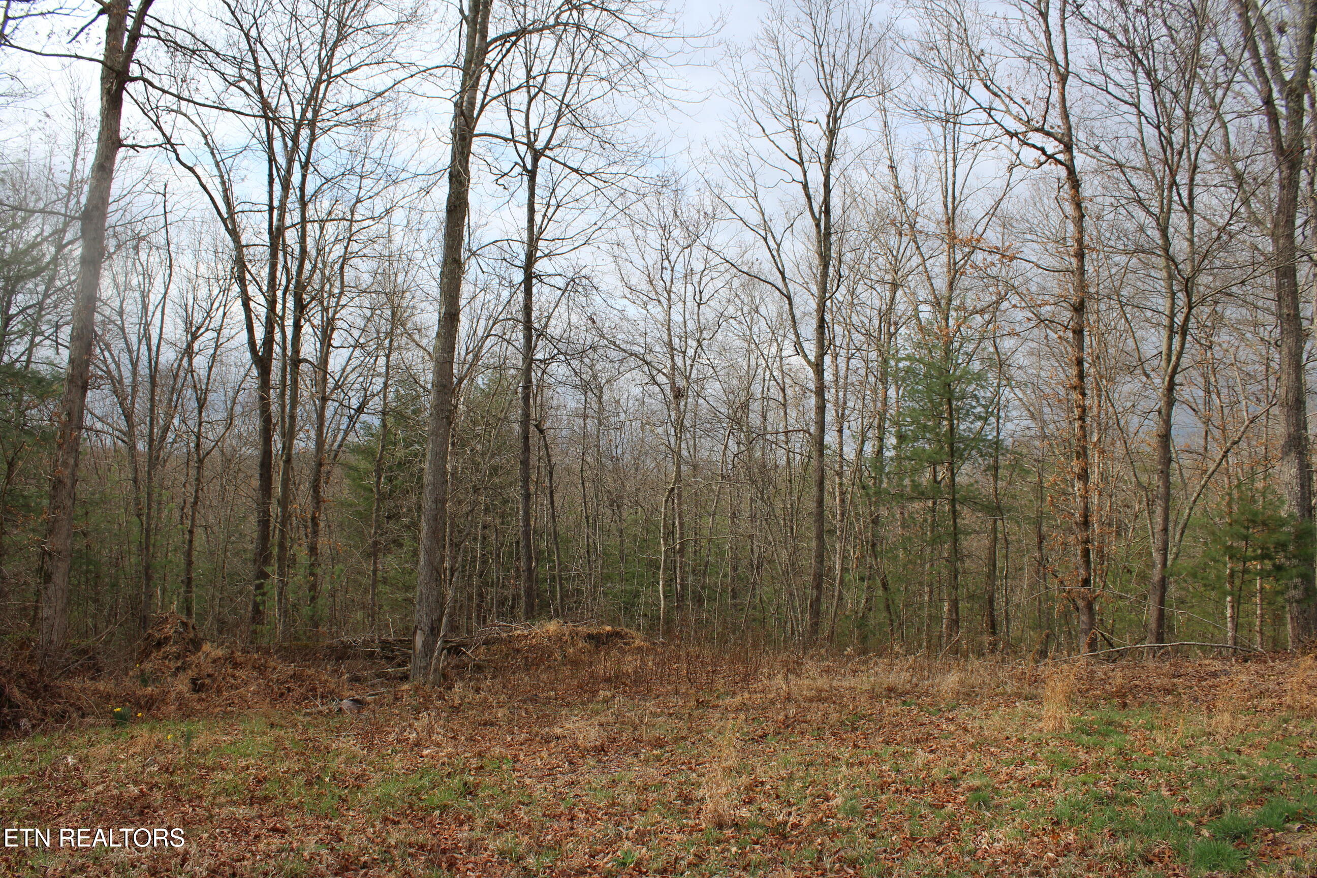 999 Meister Hills Road Deer Lodge TN 37726