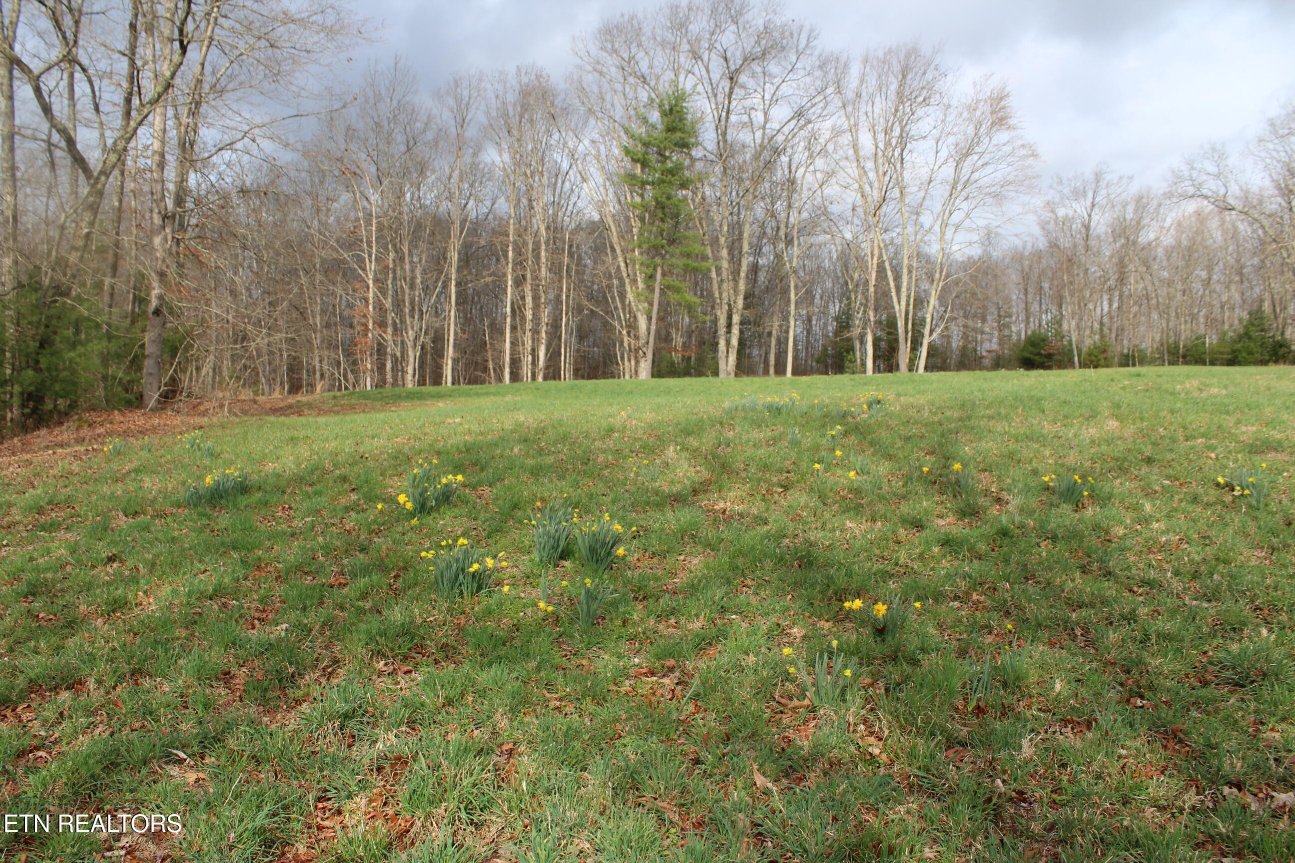 999 Meister Hills Road Deer Lodge TN 37726