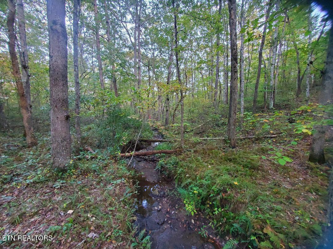 2036 Helenwood Detour Road Helenwood TN 37755