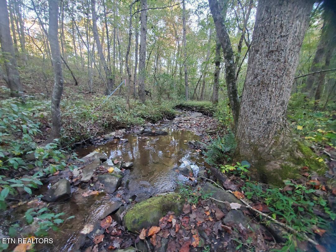 2036 Helenwood Detour Road Helenwood TN 37755