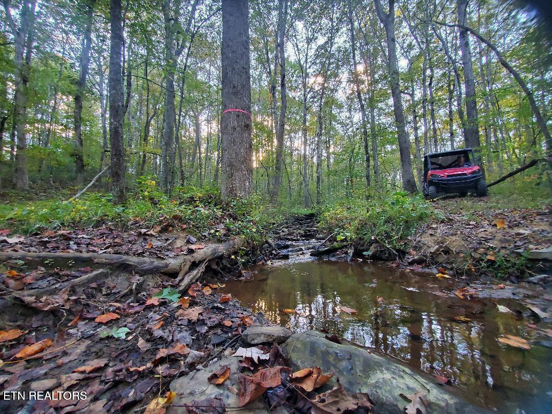 2036 Helenwood Detour Road Helenwood TN 37755