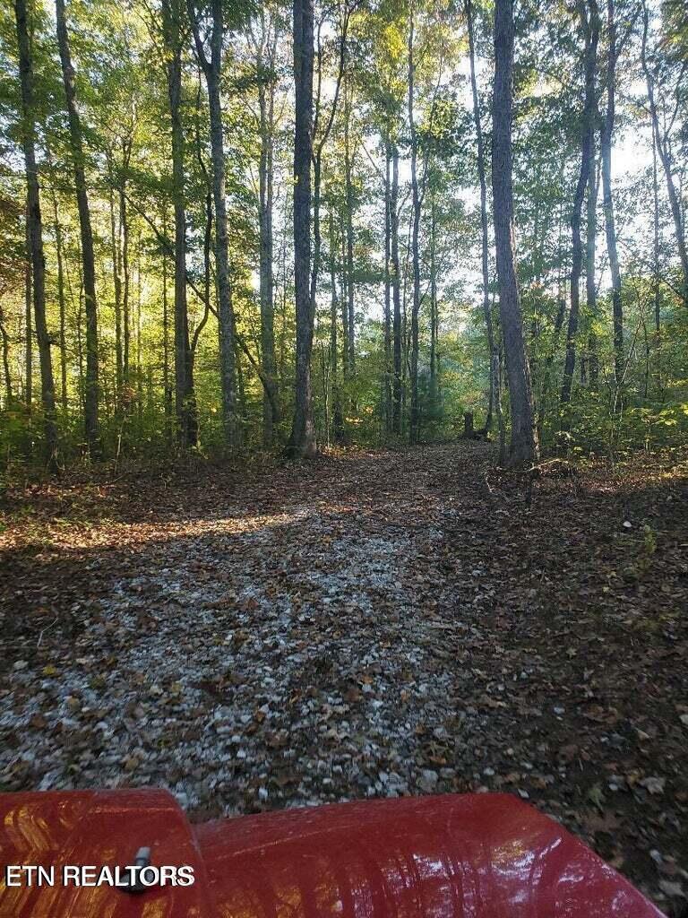 2036 Helenwood Detour Road Helenwood TN 37755