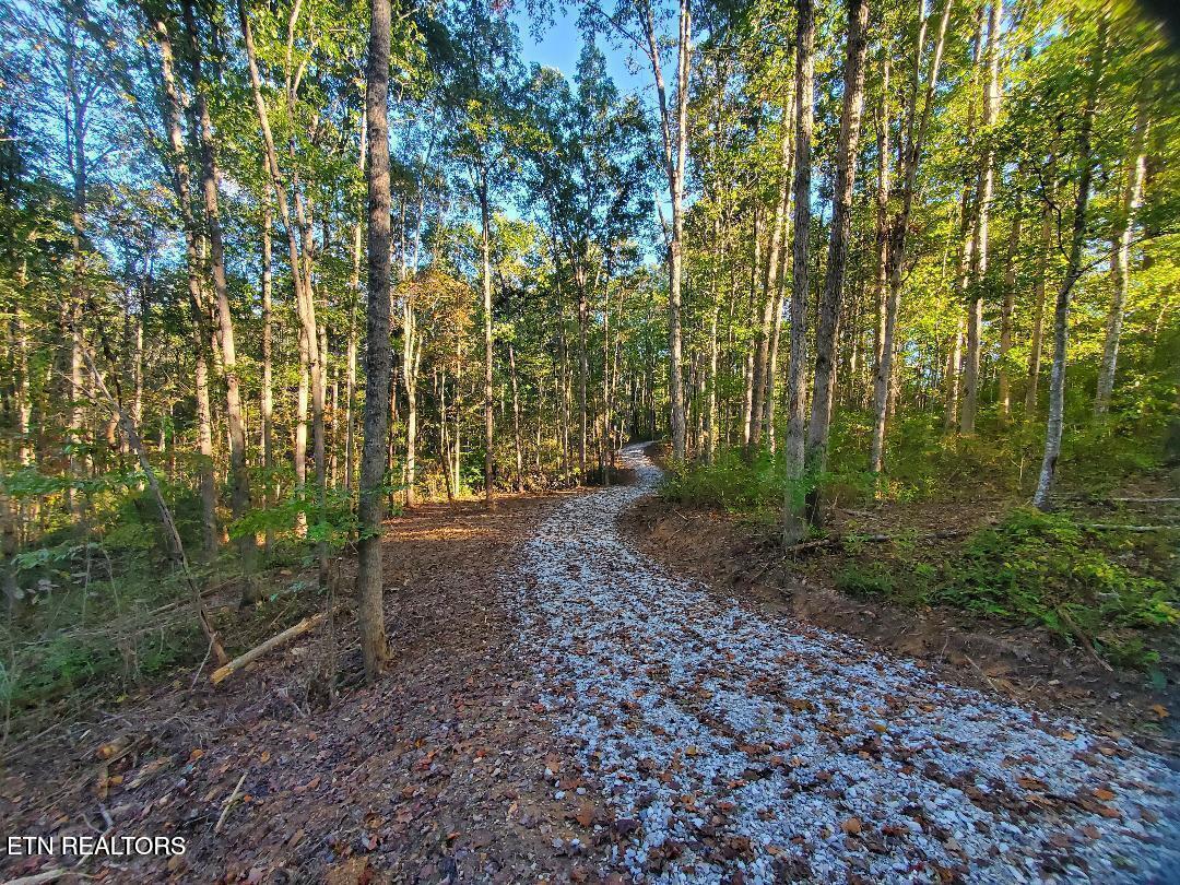 2036 Helenwood Detour Road Helenwood TN 37755