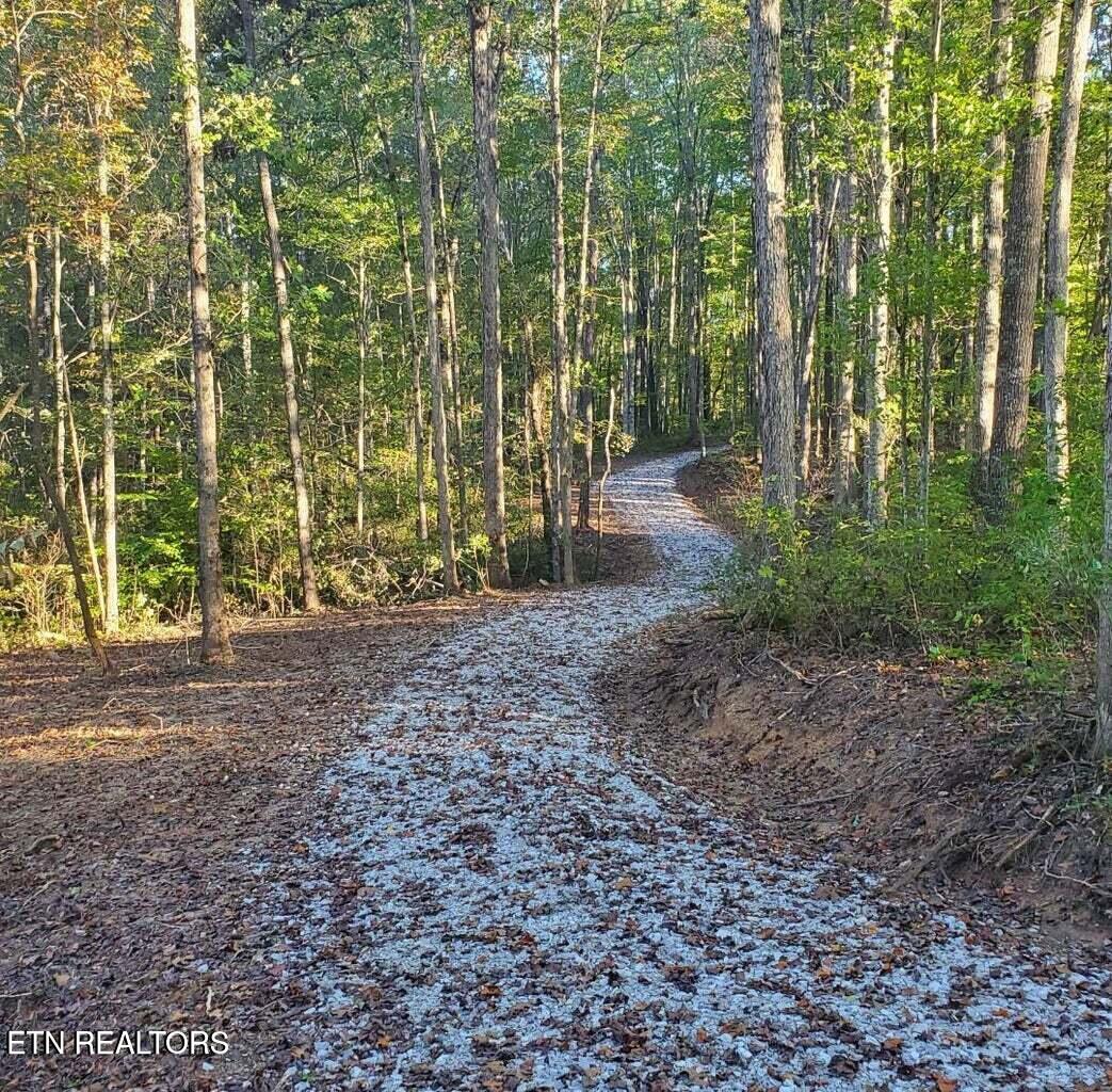 2036 Helenwood Detour Road Helenwood TN 37755