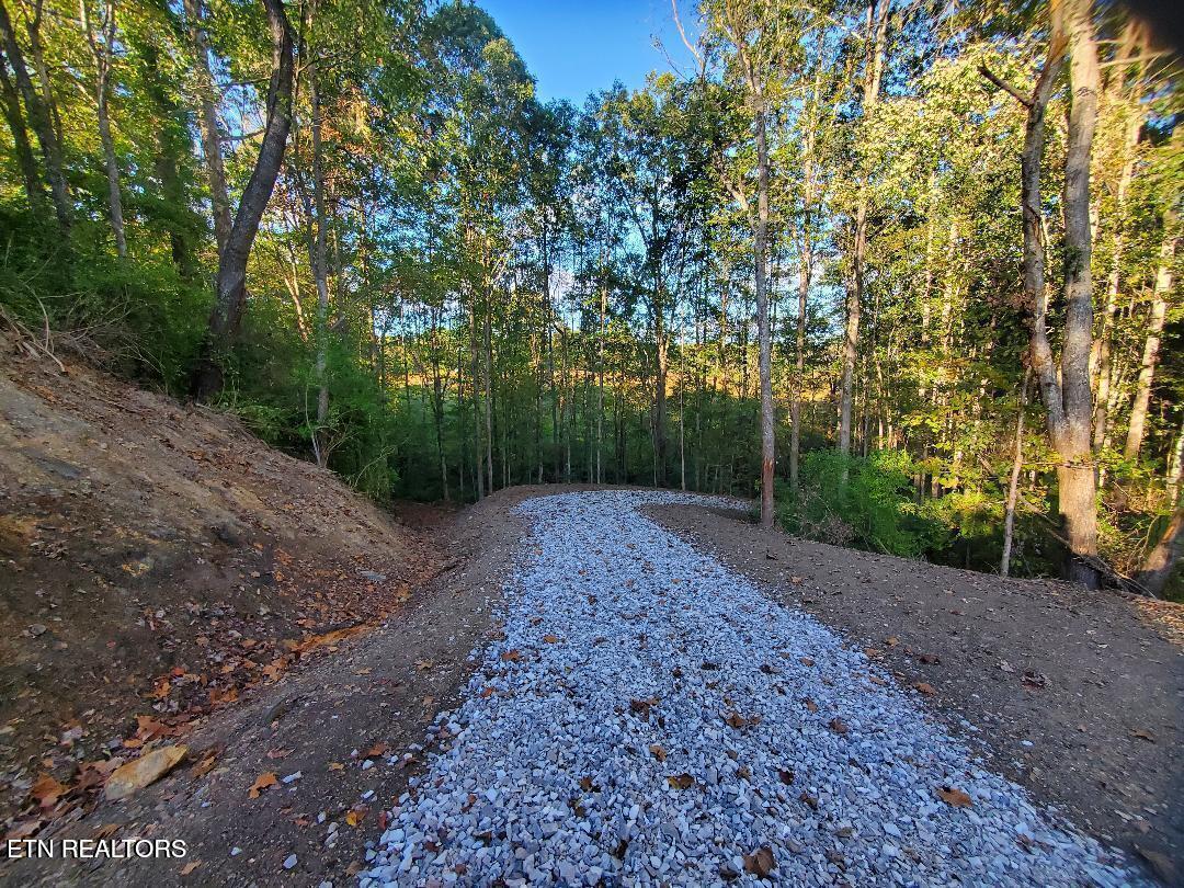 2036 Helenwood Detour Road Helenwood TN 37755