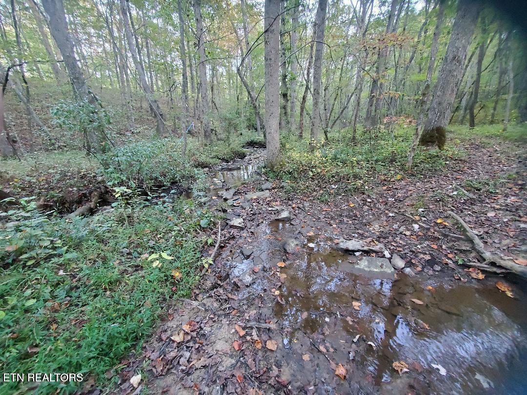 2036 Helenwood Detour Road Helenwood TN 37755