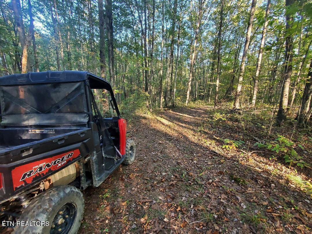 2036 Helenwood Detour Road Helenwood TN 37755