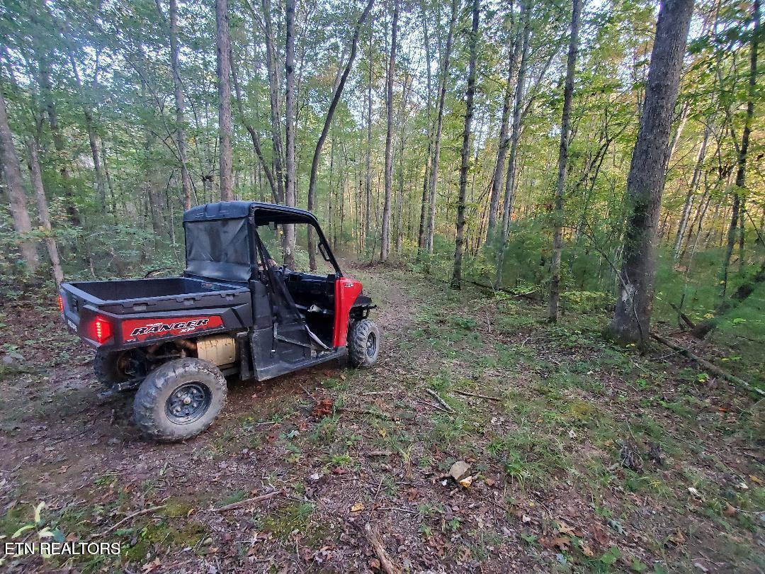 2036 Helenwood Detour Road Helenwood TN 37755