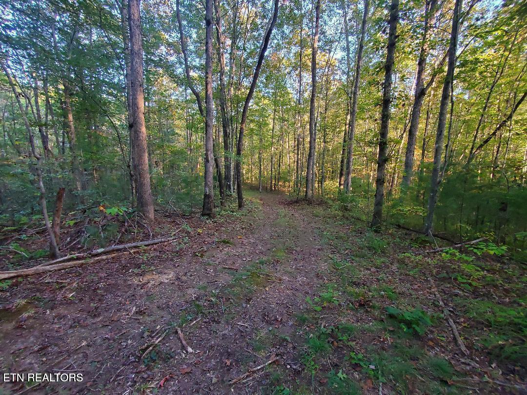 2036 Helenwood Detour Road Helenwood TN 37755