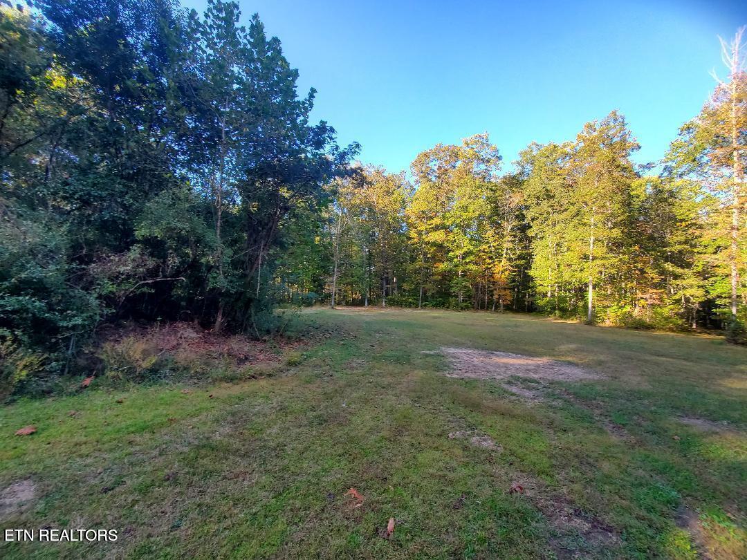 2036 Helenwood Detour Road Helenwood TN 37755