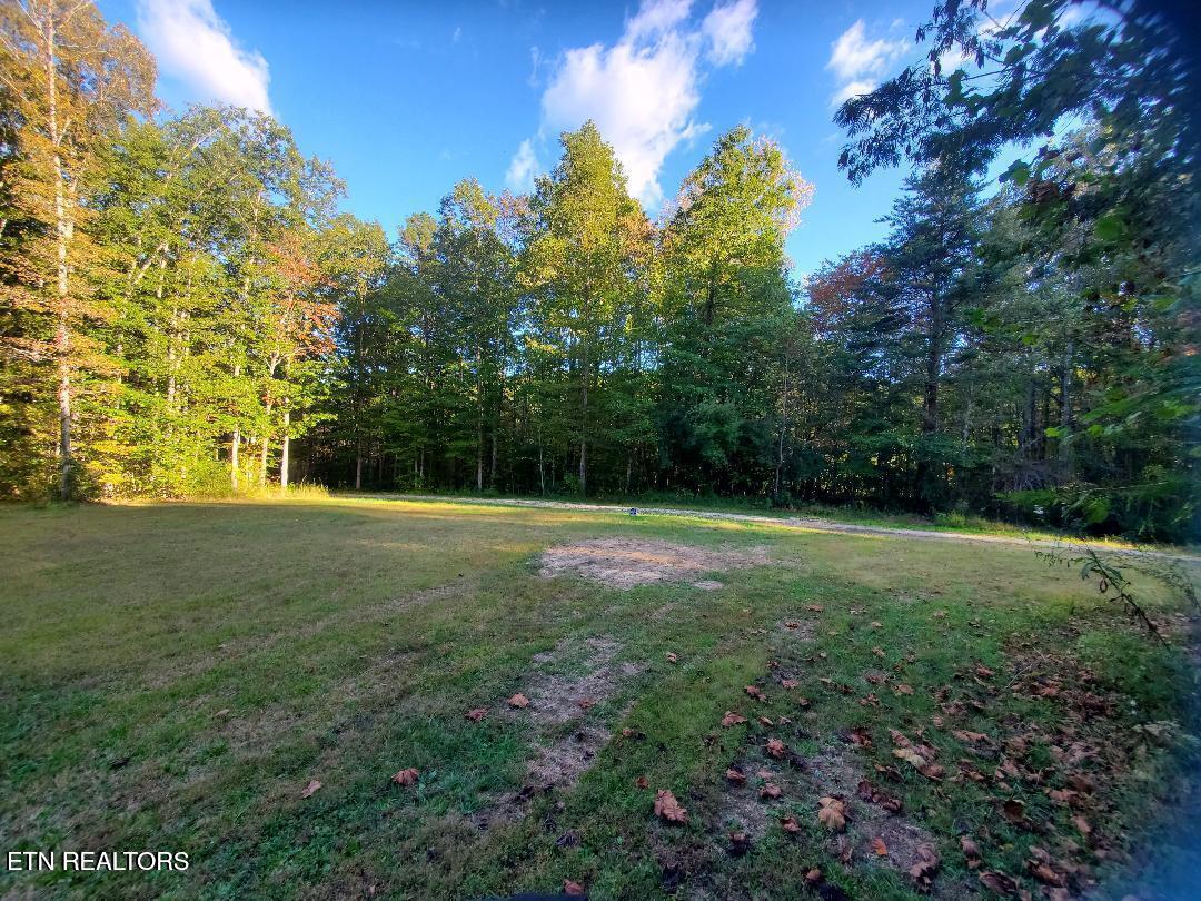 2036 Helenwood Detour Road Helenwood TN 37755