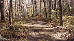 2036 Helenwood Detour Road Helenwood TN 37755