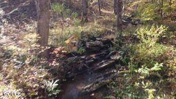 2036 Helenwood Detour Road Helenwood TN 37755