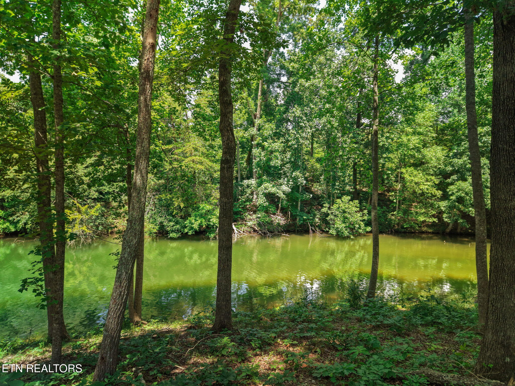 694 Taffrail Drive Lenoir City TN 37772