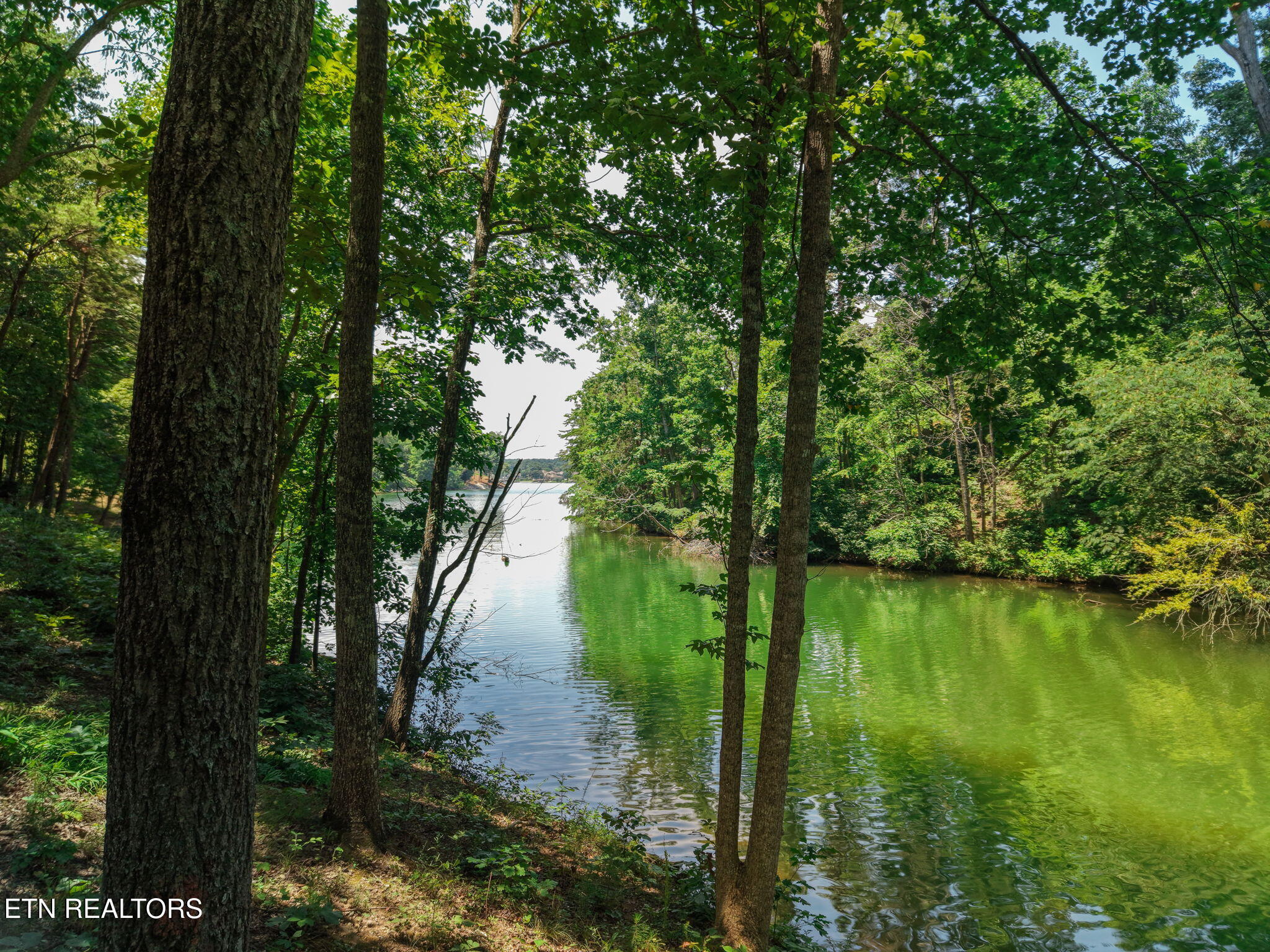 694 Taffrail Drive Lenoir City TN 37772