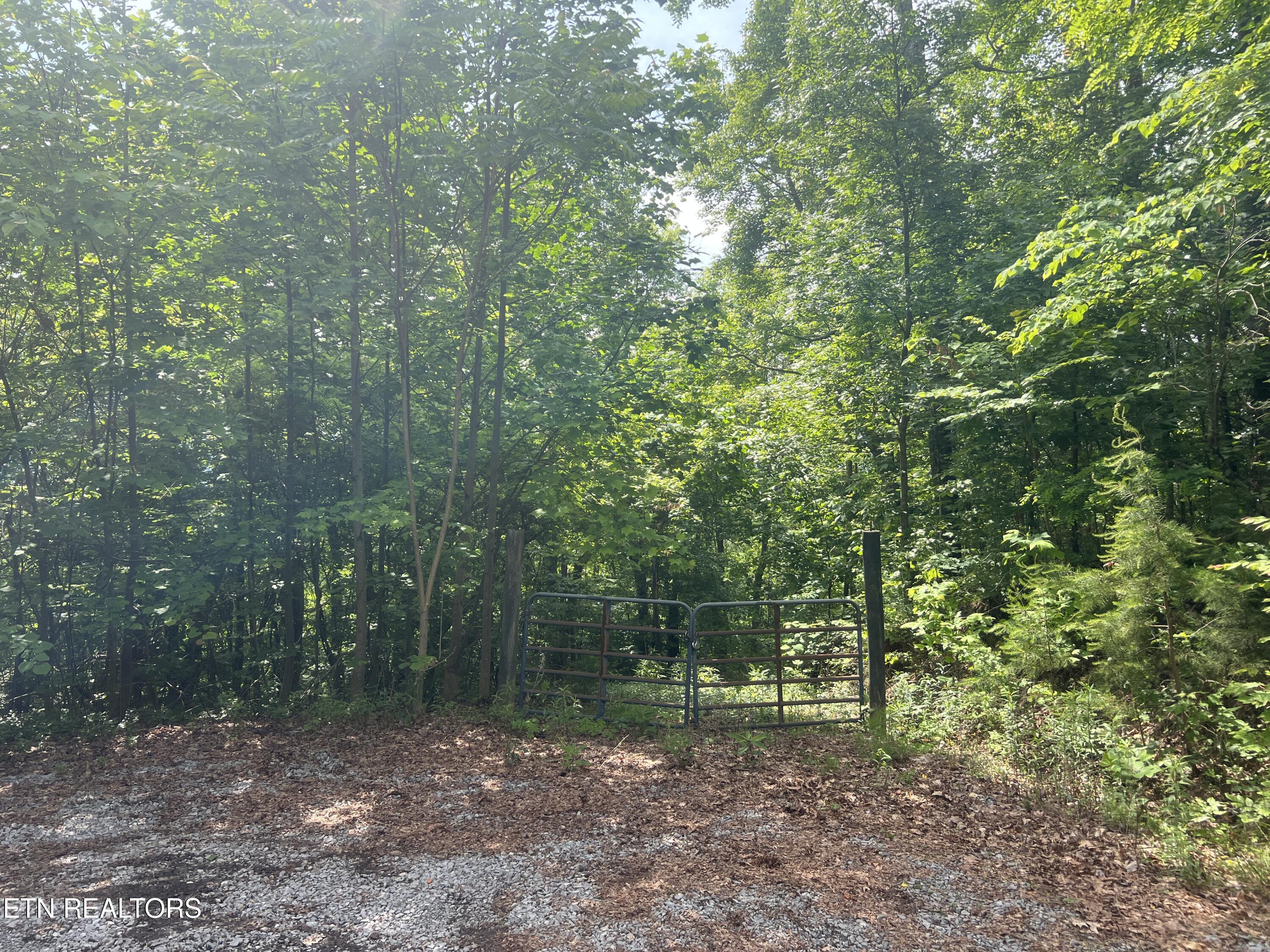 Lot 240-242 Laurel Mountain Road Madisonville TN 37354