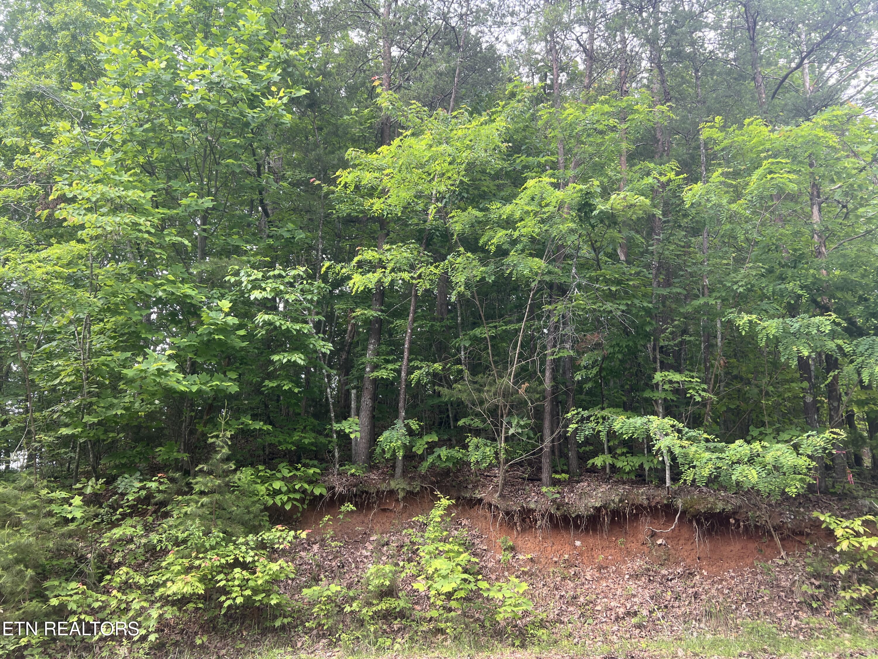 Lot 240-242 Laurel Mountain Road Madisonville TN 37354