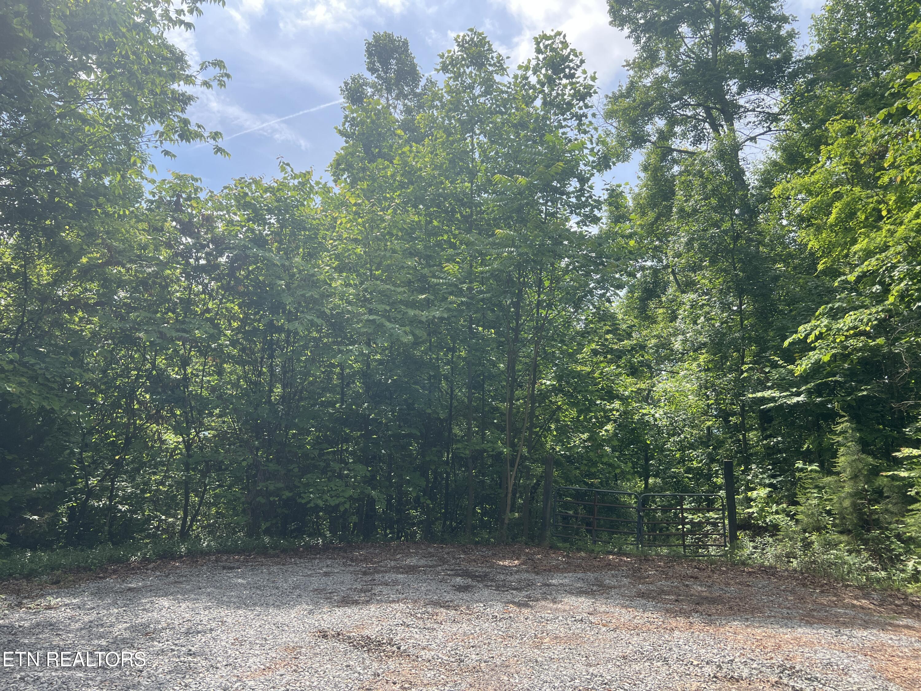 Lot 240-242 Laurel Mountain Road Madisonville TN 37354